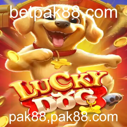 pak88,pak88.com Caça-níqueis